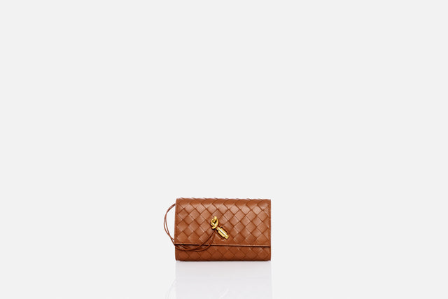 Bottega Veneta Andiamo Pouch