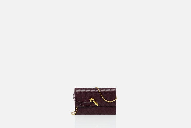 Bottega Veneta Andiamo Pouch On Chain