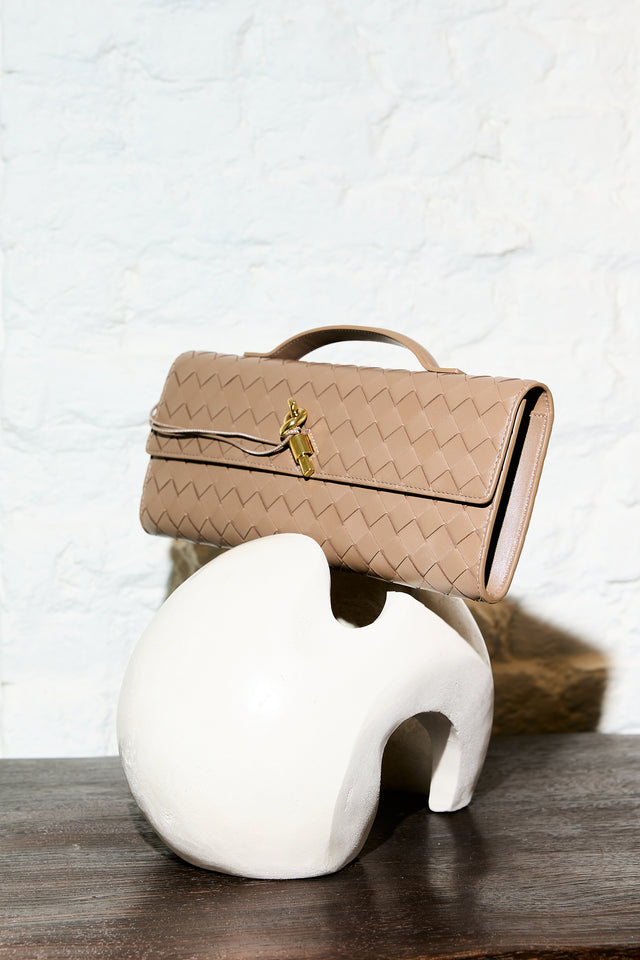 Bottega Veneta Andiamo Clutch