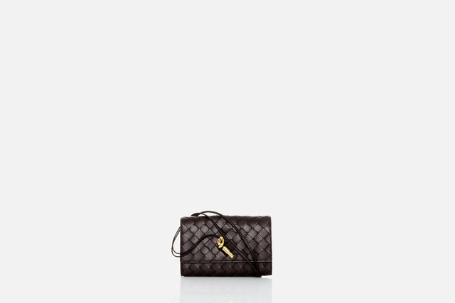 Bottega Veneta Andiamo Pouch