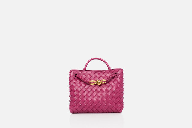 Bottega Veneta Small Andiamo