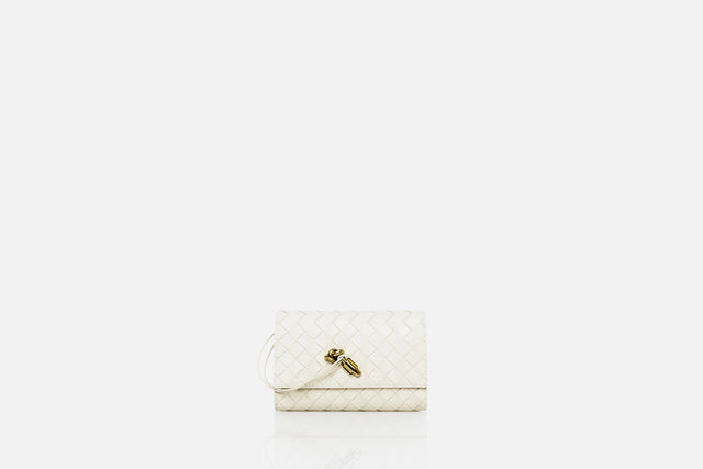 Bottega Veneta Andiamo Pouch