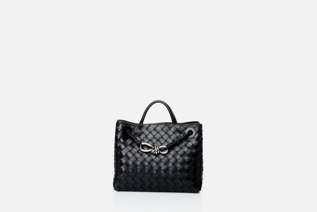 Bottega Veneta Small Andiamo