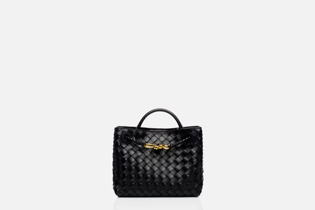 Bottega Veneta Small Andiamo