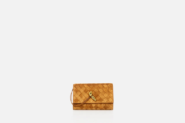 Bottega Veneta Andiamo Pouch