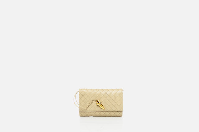 Bottega Veneta Andiamo Pouch