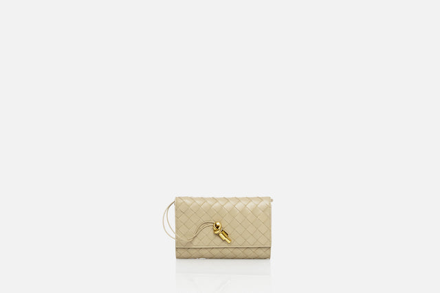 Bottega Veneta Andiamo Pouch