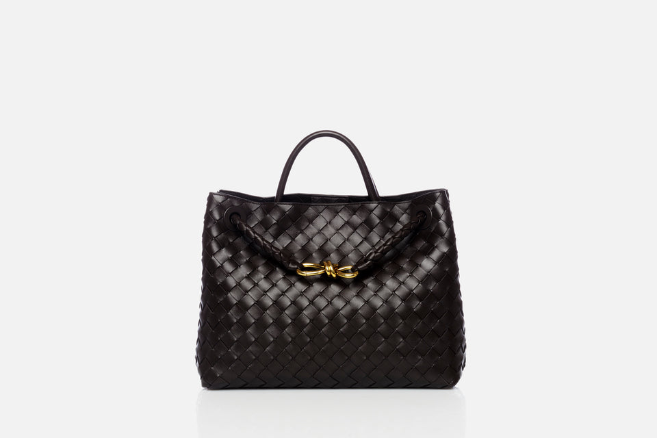 Bottega Veneta Medium Andiamo
